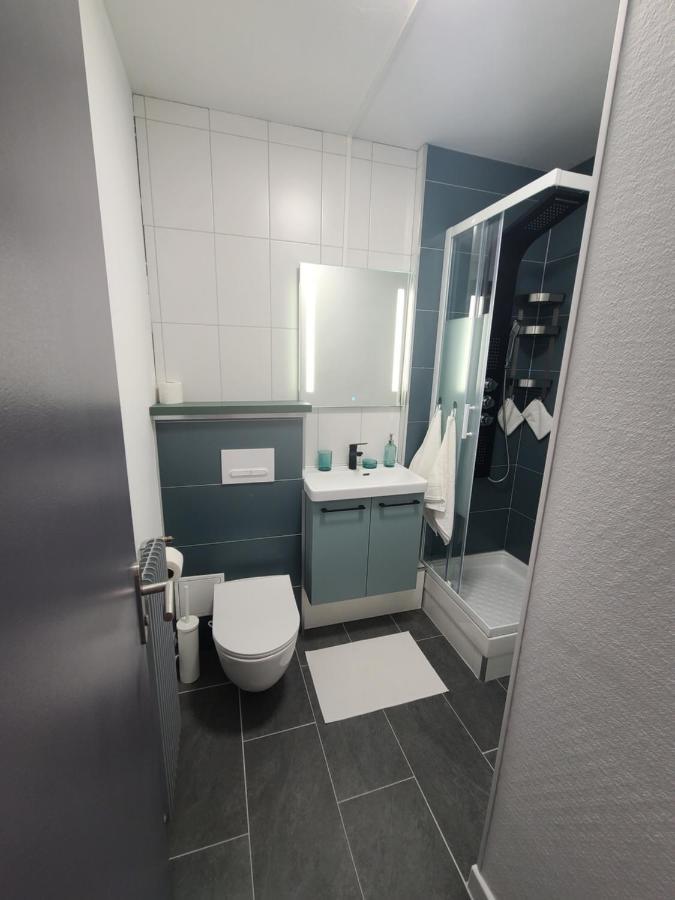 Magnifique Studio 26M2 Belfort Zewnętrze zdjęcie